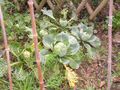 DSCN0025
