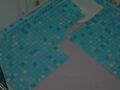 DSCN0003