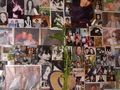 DSCN0263